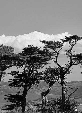 Pt Reyes 2