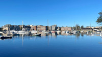 MBL from Eel Pond