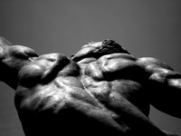 Copley II